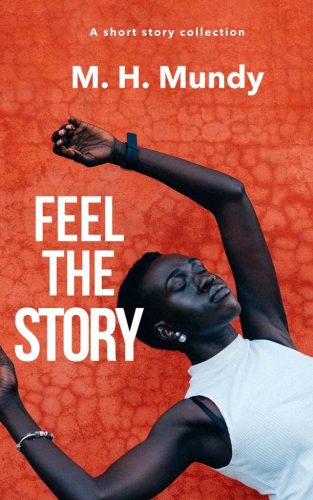 Cover of the book Feel The Story